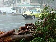 В Японии из-за тайфуна пострадали более 50 человек