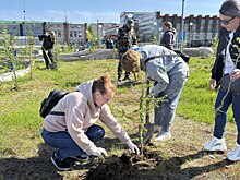 Жители Лабытнанги высадили десятки саженцев деревьев в рамках акции «Сад памяти»