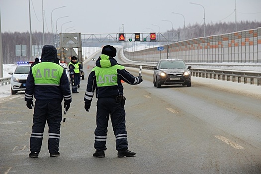 12 нелегалов поймали на трассе М-12 в Нижегородской области