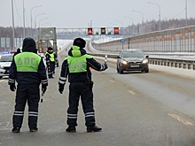 12 нелегалов поймали на трассе М-12 в Нижегородской области