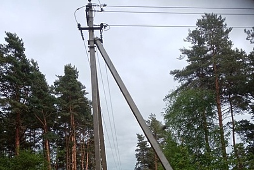 Более 150 опор ЛЭП заменили в Подмосковье на минувшей неделе