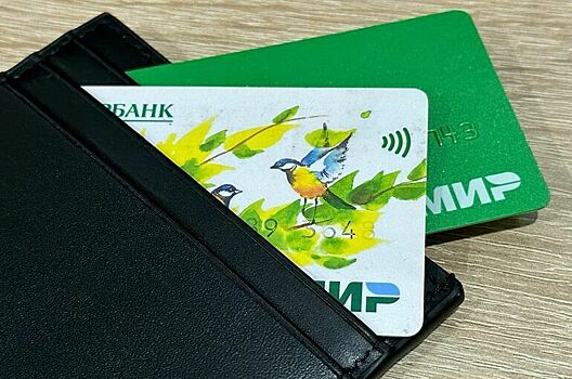 Нью-Дели и Москва обсуждают технические аспекты приема карт «Мир» в Индии