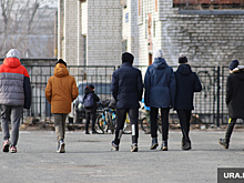 В Курганской области рекомендовали продлить школьные каникулы
