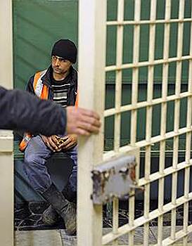 Нелегалов выдавали за студентов