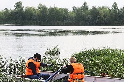 Молодые металлурги Магнитки вышли на "водный субботник"