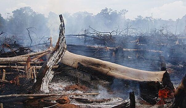 Боливия запретила полеты в зоне пожаров в амазонских лесах