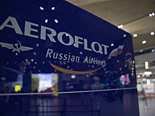 «Аэрофлот» объяснил отказ в перевозке собак из Китая