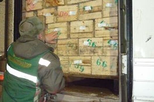 В Челябинской области задержали три машины с пакистанскими мандаринами