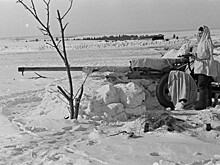 ЦСМ "Коньково" завершает акцию "Помним сердцем!", приуроченную к 80-летию битвы за Москву