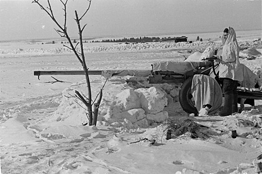 ЦСМ "Коньково" завершает акцию "Помним сердцем!", приуроченную к 80-летию битвы за Москву