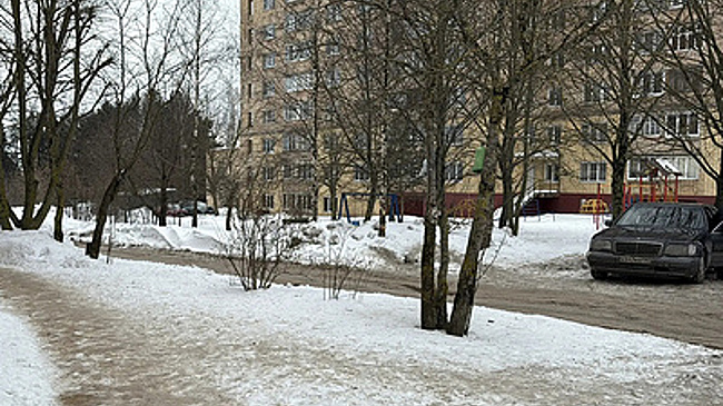 "Первый случай за 15 лет": подробности похищения и спасения девочки в Смоленске