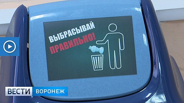 Дополнительные урны для сбора пластика установят в 18 школах Воронежа к апрелю