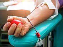 Миллиардер-биохакер перелил себе кровь сына ради омоложения