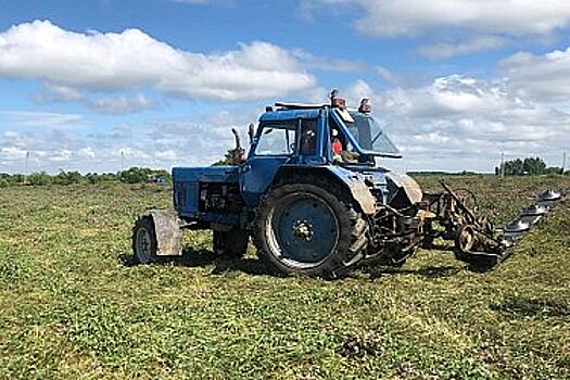 Студенты аграрных специальностей пройдут практику за счёт бюджета