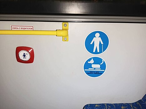 В автобусах Оренбурга будут места для инвалидов с собакой-поводырем