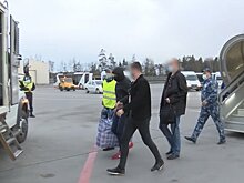 Начальник НЦБ Интерпола: В этом году в РФ экстрадировали 62 преступника