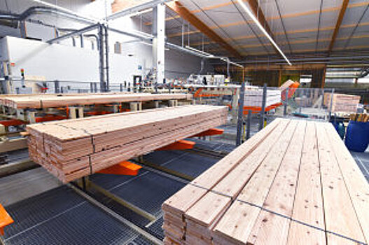 В Приморье стартовали биржевые торги древесиной на экспорт