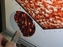 Коронавирус в Новосибирске 24 июня: еще двое умерли, 108 заболели