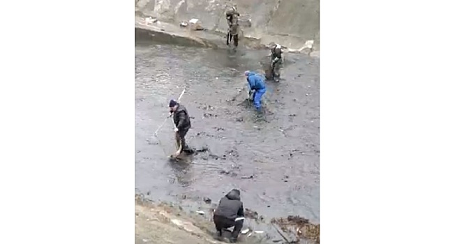 Приехала полиция: ростовчане на обмелевшем Северном водохранилище ловят рыбу сачками