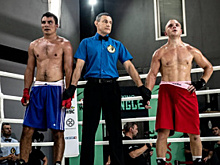 Дебютный турнир Boxing Jungle: результаты поединков