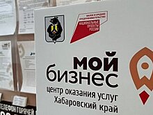 Поддержка бизнеса в Хабаровском крае: бесплатное продвижение для новичков