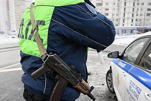 Россиянка подожгла чужую машину после заказа новогодних подарков