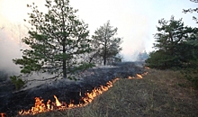 В Волгоградской области объявлен самый высокий уровень пожароопасности