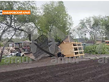 Amur Mash: смерч разрушил дом и выкорчевал деревья в Смирновке под Хабаровском
