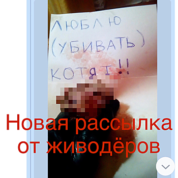 Живодеры прислали зоозащитнице видео с убитыми животными