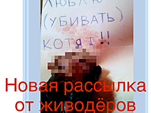 Живодеры прислали зоозащитнице видео с убитыми животными