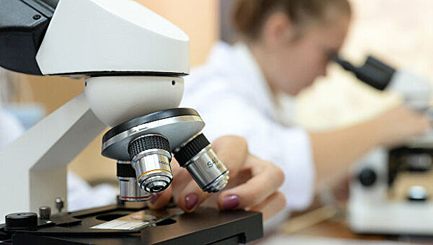 Российских школьников завлекут в науку