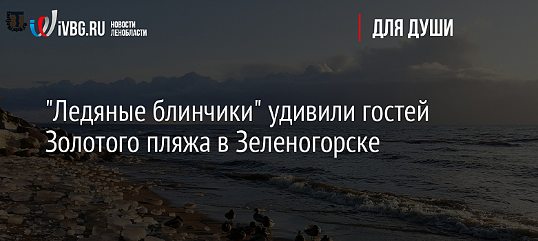 "Ледяные блинчики" удивили гостей Золотого пляжа в Зеленогорске