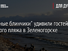 "Ледяные блинчики" удивили гостей Золотого пляжа в Зеленогорске
