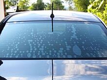 На Невском проспекте поймали 30 водителей с тонировкой