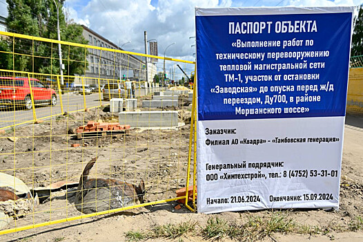 Состоялась рабочая встреча Главы Тамбовской области Максима Егорова и гендиректора «Квадры» Ксении Сухотиной