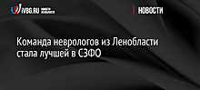 Команда неврологов из Ленобласти стала лучшей в СЗФО