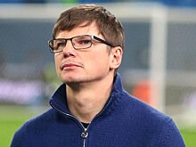 Аршавин прокомментировал потасовку Литвина с болельщиком