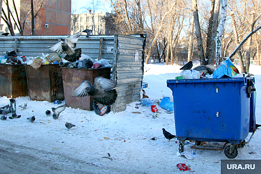 Челябинцы пожаловались на повтор мусорного коллапса после снегопада