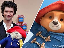 Бен Уишоу вновь озвучит Паддингтона в сериале о Самом Вежливом Медвежонке