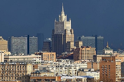 В Госдуме предложили выдворять иностранцев из РФ за русофобию