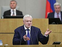Миронов попросил Мишустина ускорить запуск новой системы оплаты труда медиков