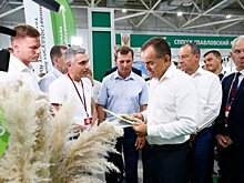 Для успешного развития фермерам важно объединяться в кооперативы