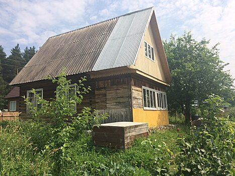 Новосибирские сельские садоводы тоже смогут получить господдержку