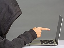 Госдума против мошенников: не больше 20 карт на человека, доступ к Госуслугам через Max