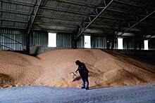 Еще одна страна запретила импорт украинского зерна