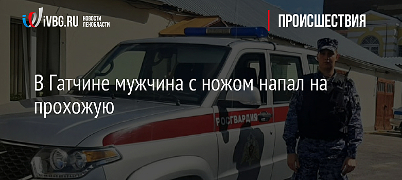 В Гатчине полицейский спас женщину от нападения мужчины с ножом