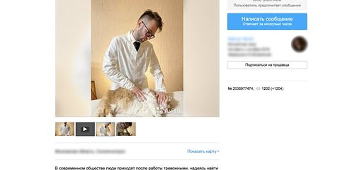 На сайте объявлений предлагают услугу "массаж для кота"