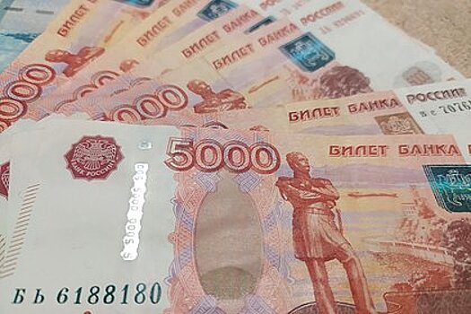 Россияне стали чаще пытаться незаконно вывезти наличку