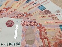 Россияне стали чаще пытаться незаконно вывезти наличку