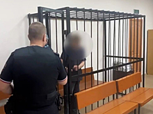 В Подмосковье вынесут приговор местному «Раскольникову»